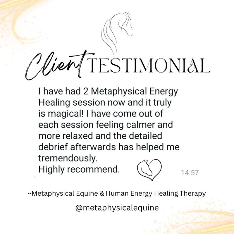 imgi_34_equine-metaphysical-posts-1_1