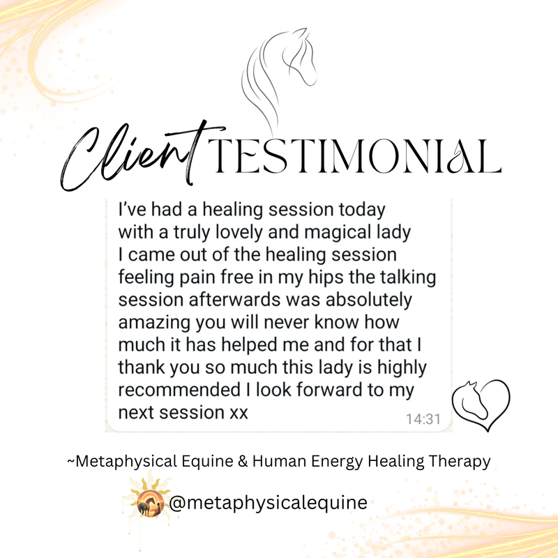 imgi_35_equine-metaphysical-posts-1_1