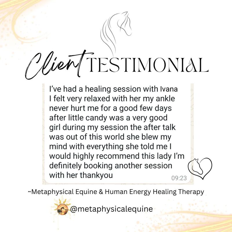 imgi_36_equine-metaphysical-posts-adf_1