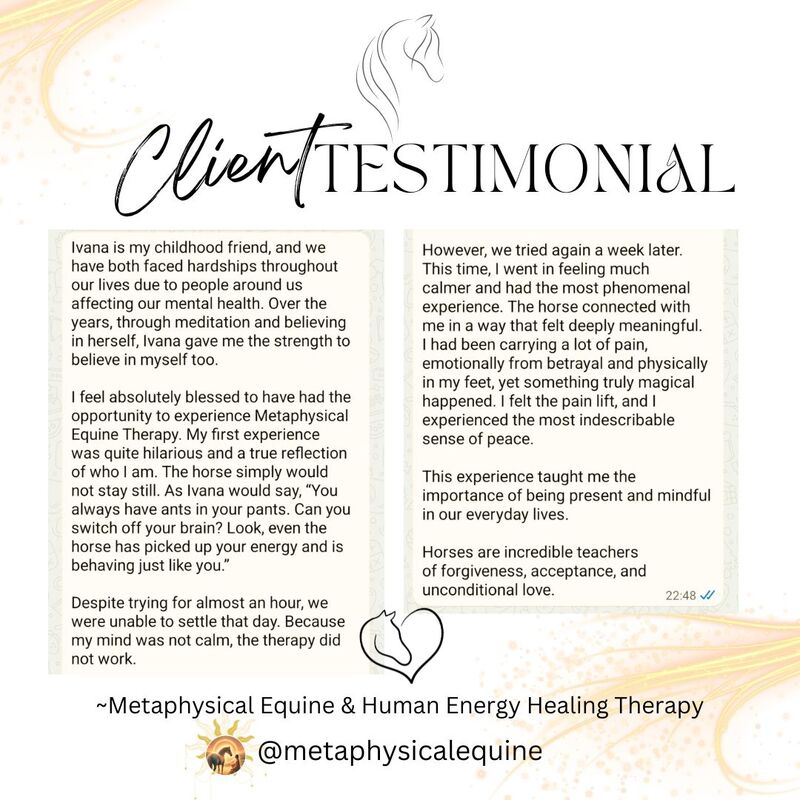 imgi_44_amrita-test_1